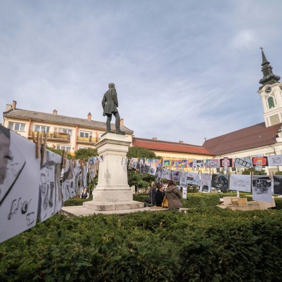 Bajai Liszt Ferenc Alapfokú Moevészeti Iskola, Baja, Hongrie